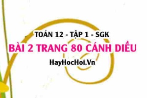 Bài 2 trang 80 Toán 12 tập 1 Cánh Diều